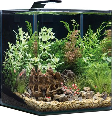 Акваріум Dennerle Nano Cube Complete+ 30 л, комплект для акваріумістики
