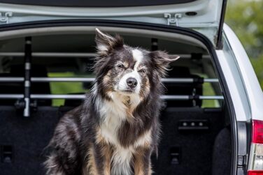 Перегородка для собак TRIXIE регульована, для багажника авто, з кріпленням для підголівника, 105–172 x 46–60 см, срібно-чорна