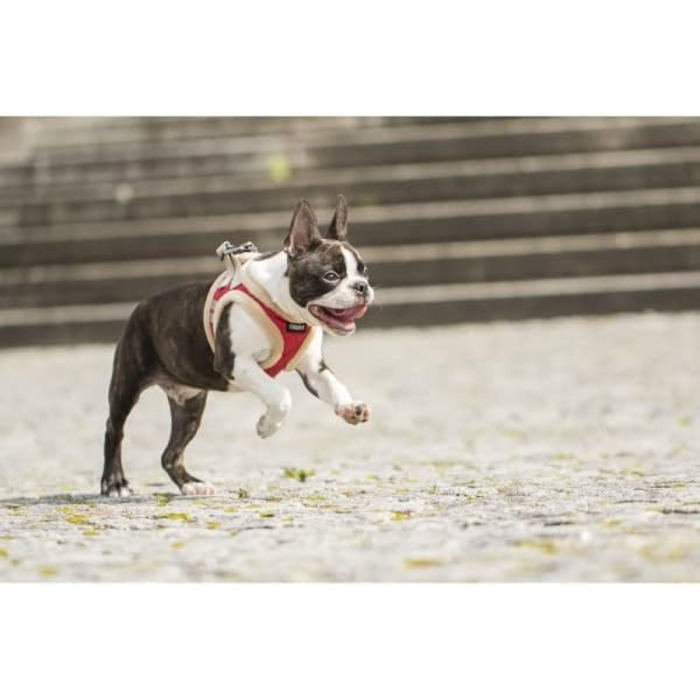 М'який нашийник для собак CHIARA MIA, розмір XL, червоний, водонепроникний, з клямками, світловідбиваючі смуги