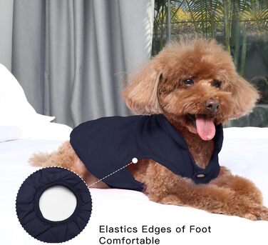 Тепла куртка для собак JoyDaog з флісовою підкладкою, 2 шари, для зими та холодної погоди, м'яка, вітронепроникна, розмір S, блакитна