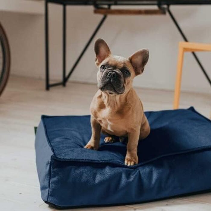 Ортопедична подушка для собак HUNTER Merida, колір оливковий, розмір M, Royalblau