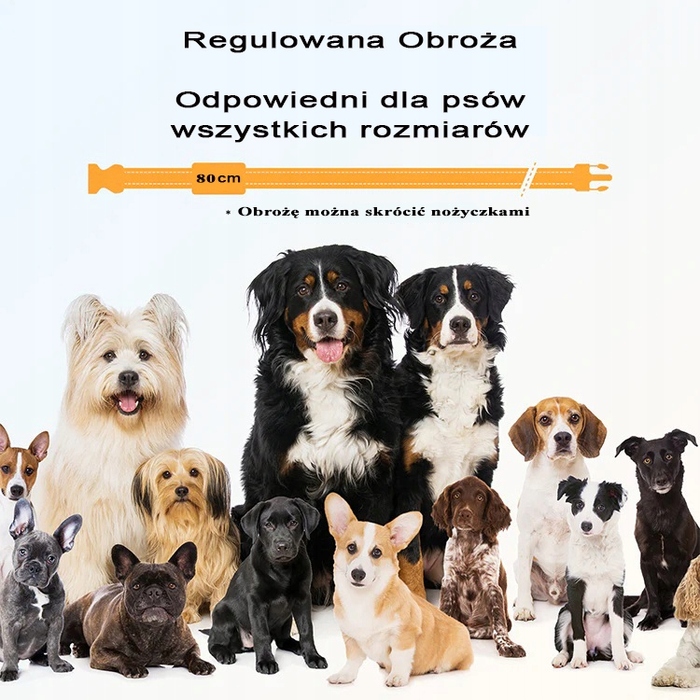 Навчальний електричний нашийник для собак з пультом керування, радіус 300м