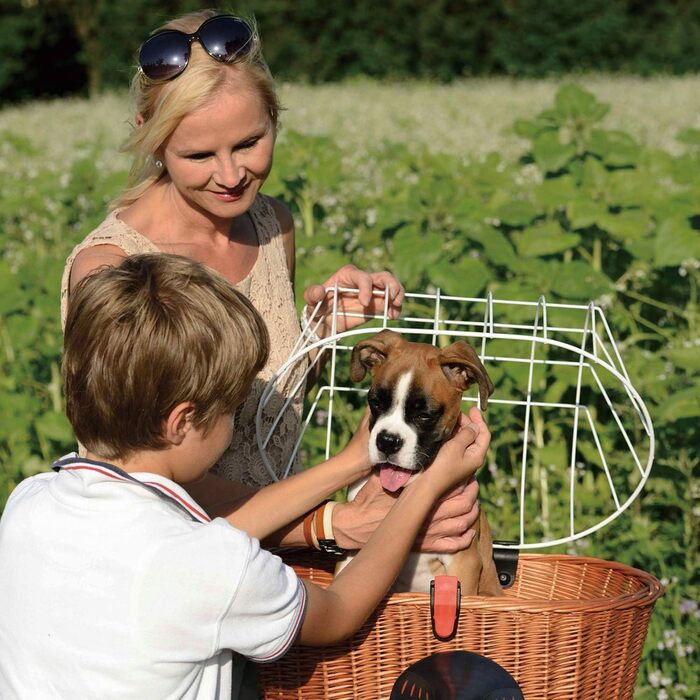 Велосипедний кошик для собак Rixen und Kaul KlickFix Doggy Basket Plus з кріпленням KorbKlip