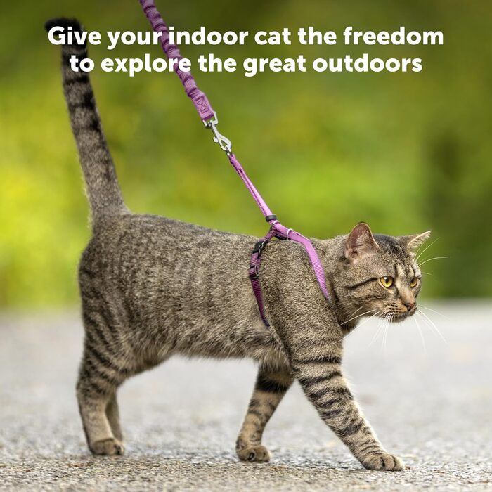 Шлейка для котів PetSafe Come with Me Kitty з еластичним повідцем, розмір S, синя