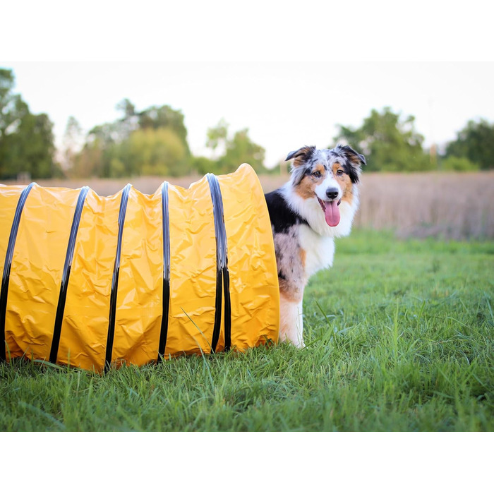Тунель для собак Vabiono Agility Profi Sack - ігровий тунель для аджиліті, 60x300 см