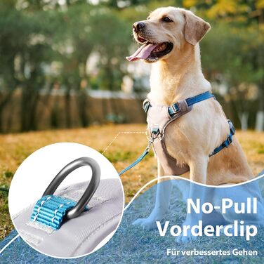 Шлейка для собак Huntboo Anti-Zug, для малих, середніх та великих собак, не тягне, світловідбиваюча, з 2 карабінами, регульована, для тренувань та бігу (M, синій)