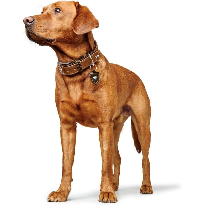 Нашийник для собак Hunter Tara, шкіряний, юхт-шкіра, міцний, стійкий до погодних умов, розмір M (55 см), колір коньяк/темно-коричневий