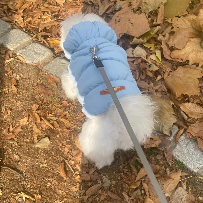 Зимовий теплий водонепроникний та вітронепроникний теплий зимовий одяг для собак з флісу (D-Ring), для малих, середніх та великих собак (Світло-блакитний, XXL)