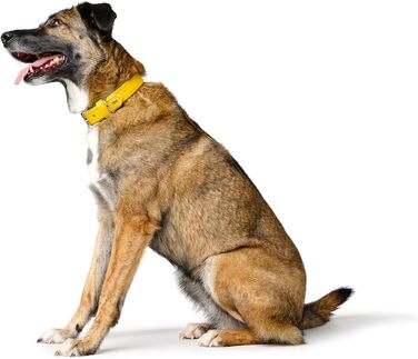 Нашийник для собак HUNTER Amalfi, жовтий, веганська штучна шкіра, м'який, Made in Germany, розмір 40