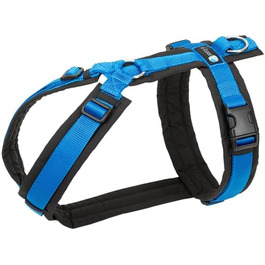 Нашийник для собак Anny·x, регульований, чорно-синій, різні розміри (S)