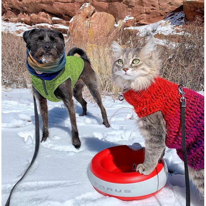 Автоматична поїлка Torus Pet Maxi 2 л, червона, для собак і котів, з фільтрацією, антибактеріальна, без BPA, для дому та подорожей