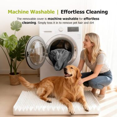 Ортопедичне ліжко для собак з знімною подушкою для голови, миється, ліжко для тварин з піною у формі яєчної коробки, водонепроникне ліжко для собак з подушкою для підтримки голови та суглобів, середній розмір: 76 см (Д) x 51 см (Ш) x 18 см (В), сірий колі