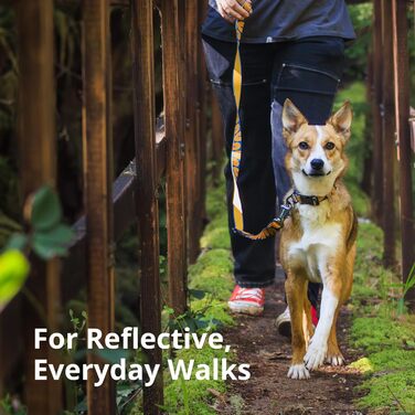 Нашийник для собак RUFFWEAR Crag, середній, з алюмінієвим кільцем V-Ring, регульований, 36-51 см, колір Midnight Wave