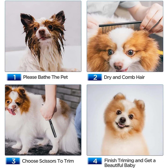 Набір професійних ножиць для собак та котів, нержавіюча сталь, безпечні кінчики, ножиці для фінальної обробки, гребінець для грумінгу