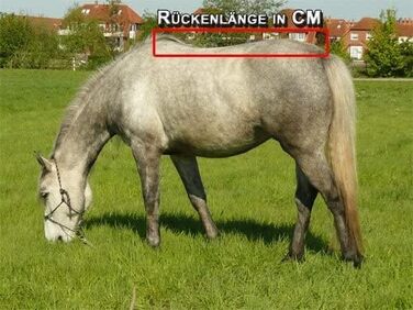 Зимова термоковдра для коня time4horses, високий комір, 200 г, 1200 ден, 125 см, водонепроникна аутдор ковдра