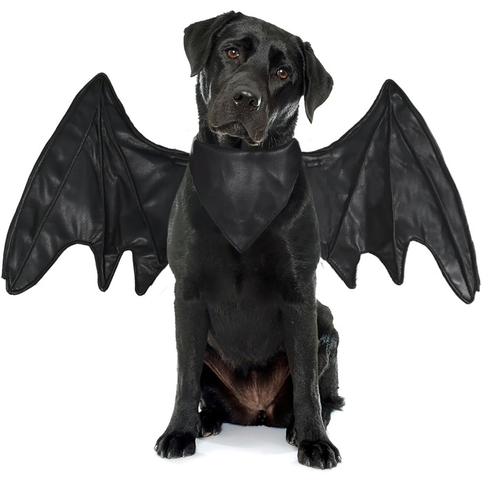 Костюм на Хелловін для собак: Флері, Дракон, Птах - крила (чорні, M)