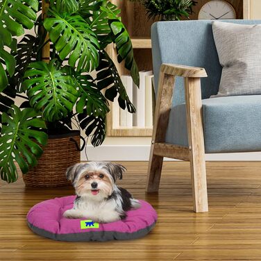 Крісло-лежанка для собак та котів Ferplast Relax, 65x42 см, бавовна, Ottanio (фіолетовий). Лежанка для собак, котів, в авто та будку.