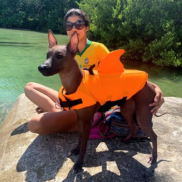 Костюм для плавання собак Chwimmwete Hai Hunde, яскравий, як акула (Оранжевий, XL)