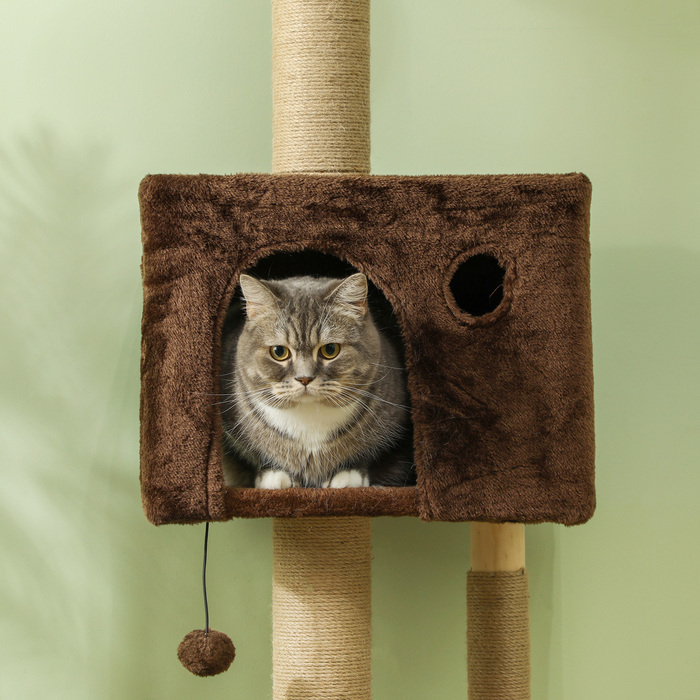 PawHut Cat Tree Стеля висока, Cat Tree, 225-265 см Кігтеточка для кішки з котячою печерою, дряпаючі стовбури, Play Ball, Меблі для кішок із захистом проти нахилу, коричневий | Аосом