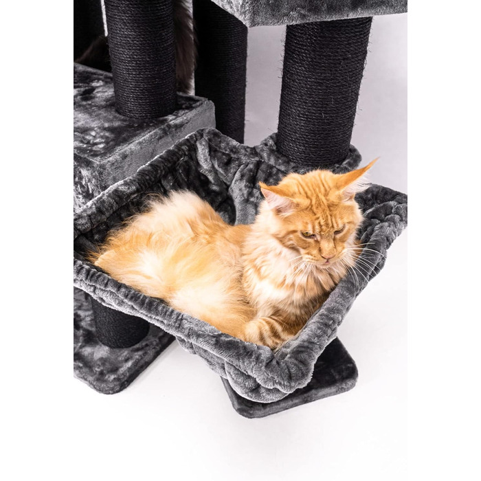 Дряпка для котів Petrebels Maine Coon XXL Alley 200 см, преміум, для великих котів, чорна