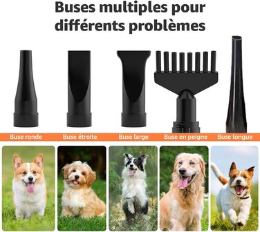 XKISS 2800W Професійний набір для догляду за тваринами 6 в 1: фен, машинка для стрижки шерсті, пилосос для шерсті