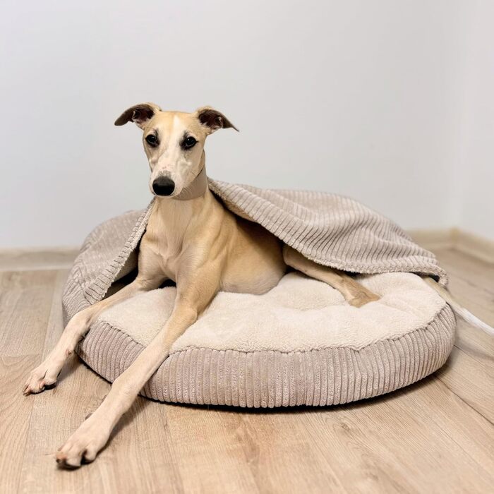 4L Textil Hundebett Vigo з капюшоном: лежанка-будка для собак, ковдра, кошик, спальний мішок, лежанка з корду, подушка для собак середніх розмірів (Бежевий, 90 x 90 x 12 см)