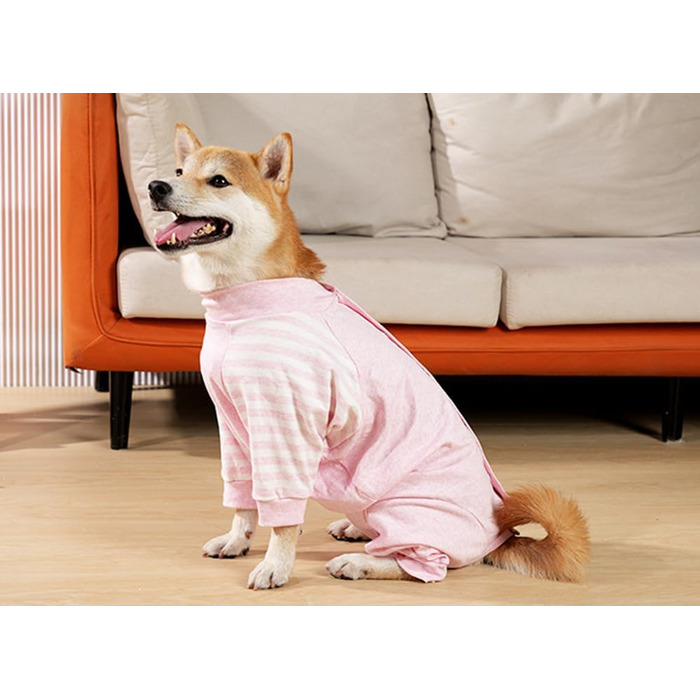 Комбінезон для собак після операції, зручний, з довгим рукавом, антибактеріальний, для захисту рани, після стерилізації, XS