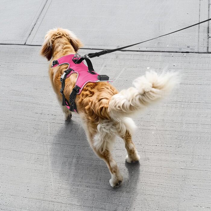 Світловідбиваючий нашийник для собак з LED, перезаряджуваний, зручний, водонепроникний, для середніх та великих собак, зелений (рожевий, M)