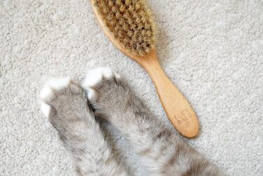 Щітка для котів LucyBalu® для короткої та довгої шерсті | Щітка для вичісування шерсті котів | Щітка для підшерстка котів | Гребінець для котів для догляду за шерстю | Щітка для шерсті тварин | Щітка для котів з щетиною та дерев'яною ручкою білого кольору