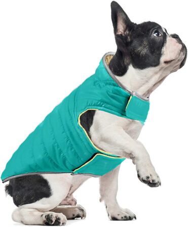 PETCUTE Зворотна куртка для собак, зимова, водонепроникна, для цуценят, з отвором для повідка, L, блакитний+жовтий