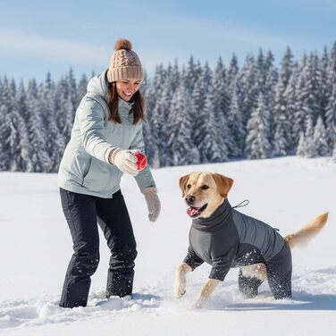 Водонепроникний теплий зимовий одяг для собак, вітронепроникний костюм для собак середніх та великих порід, одяг для собак з отвором для шлейки – сірий (XL)