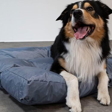 Крісло-ліжко для собак Bananair - м'яке та зручне, з водовідштовхувальної тканини, легко миється - XXL лежанка/корзина для собак, різні розміри/кольори (110 x 85 x 10 см, сірий)