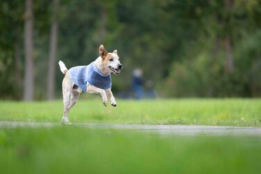 Волтерс: Пуловер з трикотажу, розмір 35 см