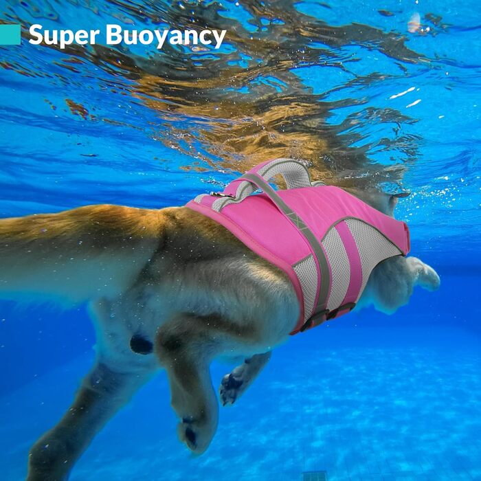 Жилет для плавання для собак Queenmore, регульований, висока видимість, рятувальний жилет, для собак XX-Large (Hot Pink, XXL)