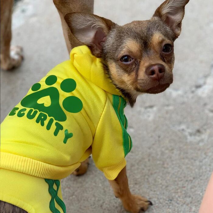 Теплий худі для собак Долахові: м'який пуловер з флісу для маленьких та середніх собак (Чихуахуа, Тедді)