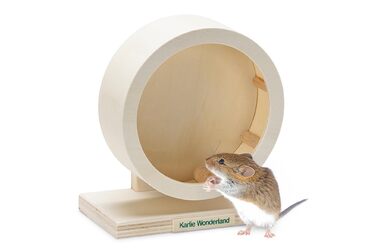 Колесо для гризунів Karlie Wonderland Bogie Wheel, діаметр 30 см, висота 15 см