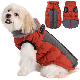 колір: гниль