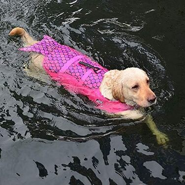 Жилет для плавання собак, жилет для початківців, регульована шлейка та рятувальний ручка (Hai, M)
