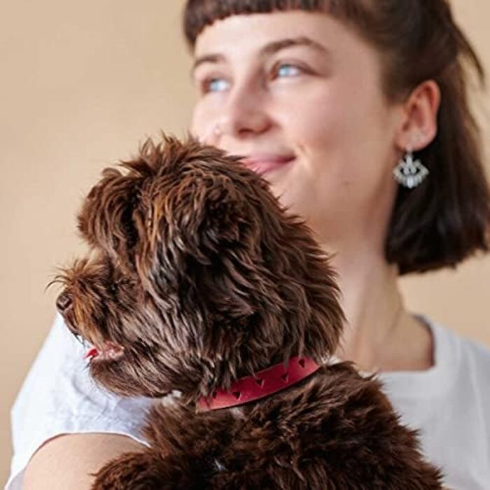 Нашийник для собак HUNTER Aalborg Soul, червоний, з сердечком, міцний, розмір 35