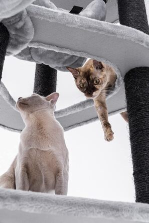 Дизайнерський кутовий когтеточка Petrebels Catharina 160 см для великих котів, преміум-якість, з XXL гамаком і котячим будиночком, сірий