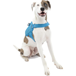 стиль: місцевий житель, житель міста