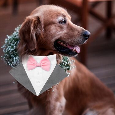 Елегантний собачий смокінг JOYPAWS: нашийник для собак, костюм для вечірки, на день народження, для фотосесій, сірий, для маленьких, середніх та великих собак