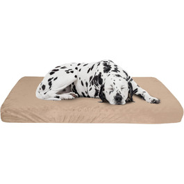 колір: фальцфюhrung (або, в контексті мистецтва, 