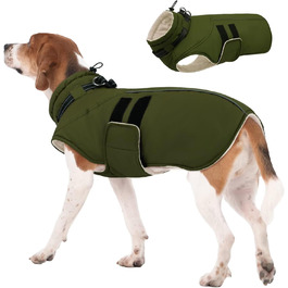 колір: зелена армія