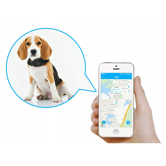 GPS-нашийник-локатор для собак та котів, керування через додаток, без абонплати та прихованих платежів