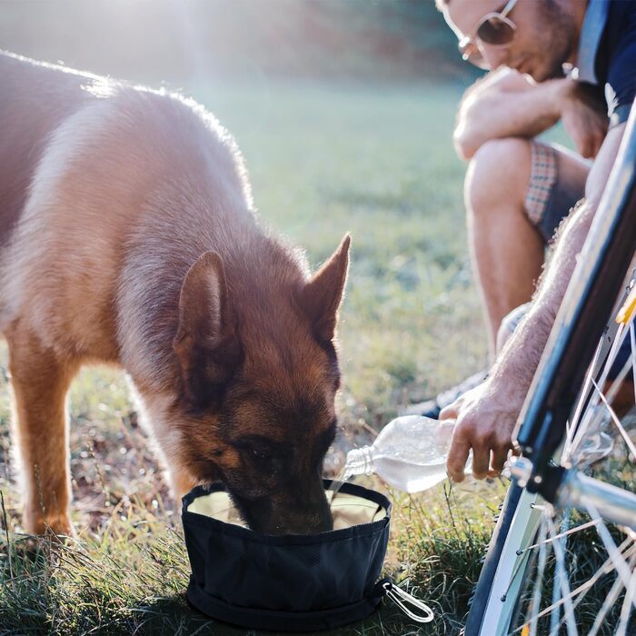 Набір мисок для собак LumoLeaf (2 шт.): дорожні, складані, 2L та 2.4L об'єм, для подорожей, легкі, для води та корму