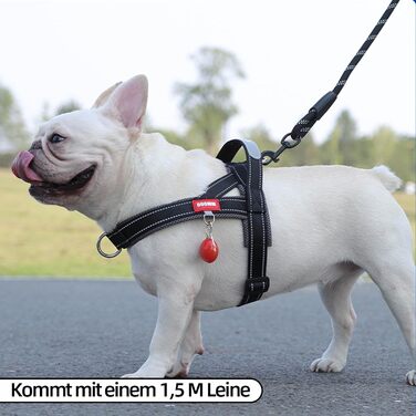 Нашийник для собак середніх та маленьких порід з повідком, кольоровий, сітка, м'який, з ручкою та кільцем, світловідбиваючий, легкий, чорно-сірий, розмір M