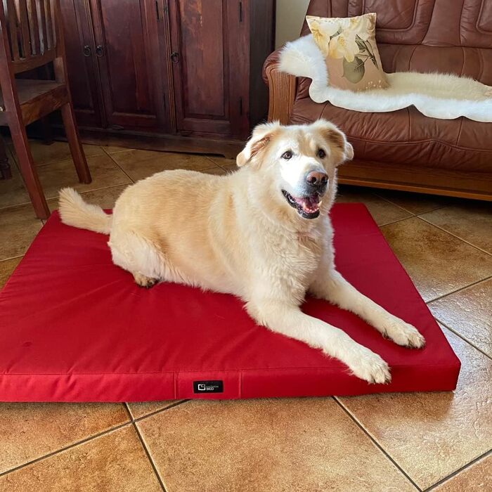 Килимок для собак Tina Grosse: середній та маленький розмір - подушка для собак, ліжко для собак з тканини Kodura. Практичний, водонепроникний, м'який, довговічний, зносостійкий, міцний (L | 80x60x8cm, Бордовий) L | 80x60x8cm Бордовий