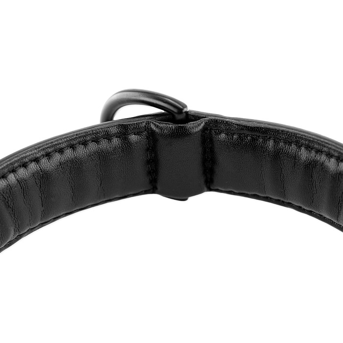 Нашийник для собак Brute Strength з натуральної шкіри, чорний, XXL (66-73 см)