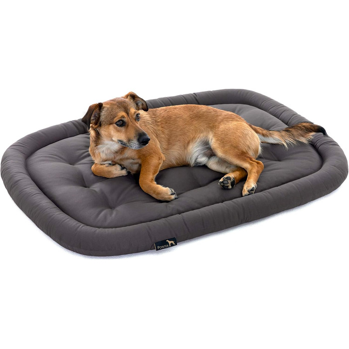 Ортопедичний лежак для собак середніх порід, 90x60 см - Лежанка для собак, що миється до 95°C, без запаху, міцна, для використання в приміщенні та на вулиці, Made in Germany (L - 90x60 см, Антрацит)